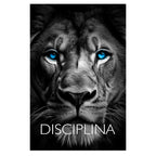 Kit 3 Quadros Decorativos Animais Disciplina Foco Execução Rosto Animais Leão Tigre Águia