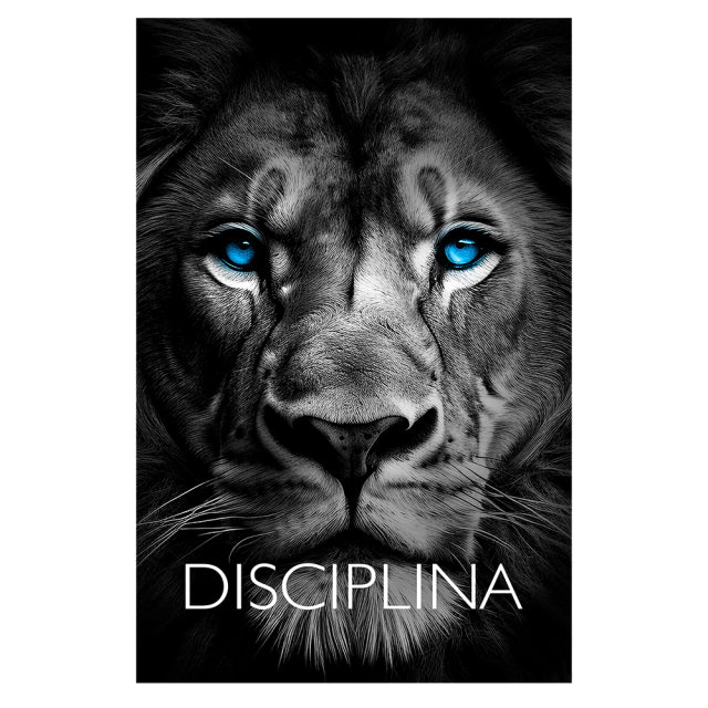 Kit 3 Quadros Decorativos Animais Disciplina Foco Execução Rosto Animais Leão Tigre Águia