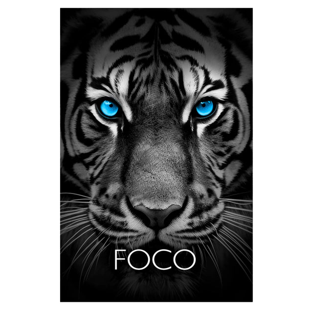 Kit 3 Quadros Decorativos Animais Disciplina Foco Execução Rosto Animais Leão Tigre Águia