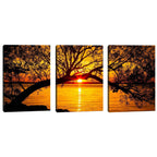 Quadro Decorativo Pôr do Sol Entre Árvores Majestosas