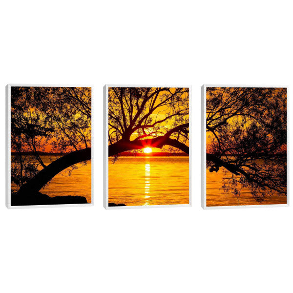 Quadro Decorativo Pôr do Sol Entre Árvores Majestosas