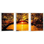 Quadro Decorativo Pôr do Sol Entre Árvores Majestosas