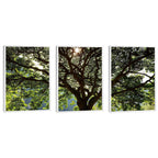 Quadro Decorativo Serenidade Verde: Respire Paz