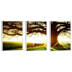 Quadro Decorativo: Pôr do Sol Rústico, Encanto Natural