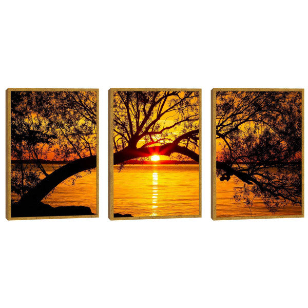 Quadro Decorativo Pôr do Sol Entre Árvores Majestosas