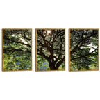Quadro Decorativo Serenidade Verde: Respire Paz