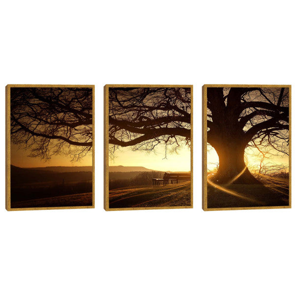 Quadro Decorativo Amanhecer Sereno: Toque de Paz