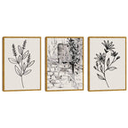 Quadro Decorativo Botânica Elegante - Toque Natural Único