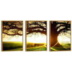 Quadro Decorativo: Pôr do Sol Rústico, Encanto Natural