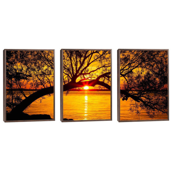 Quadro Decorativo Pôr do Sol Entre Árvores Majestosas