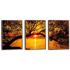 Quadro Decorativo Pôr do Sol Entre Árvores Majestosas