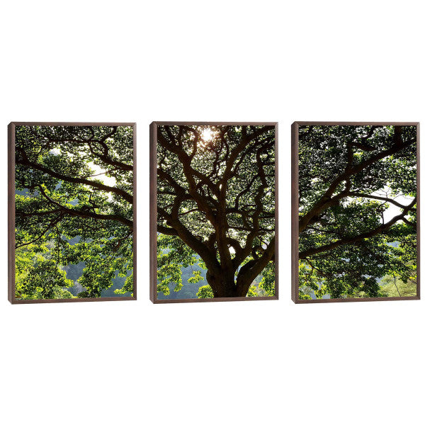 Quadro Decorativo Serenidade Verde: Respire Paz