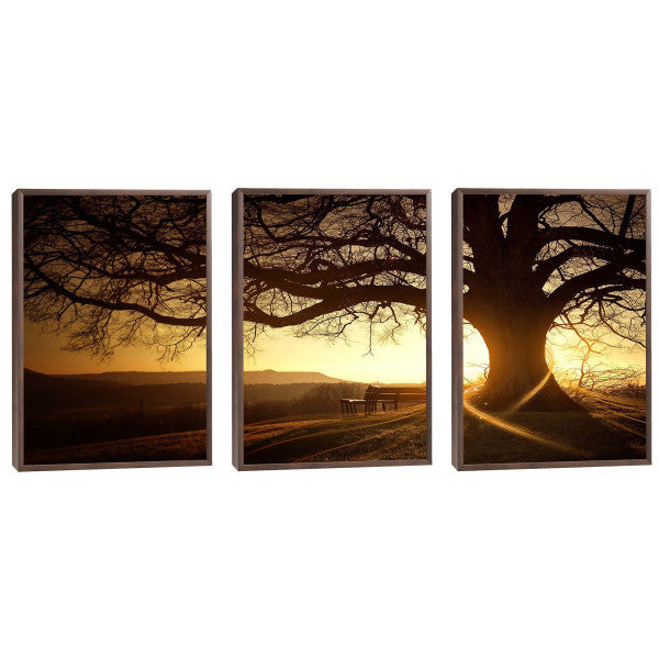 Quadro Decorativo Amanhecer Sereno: Toque de Paz