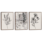 Quadro Decorativo Botânica Elegante - Toque Natural Único