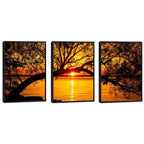 Quadro Decorativo Pôr do Sol Entre Árvores Majestosas