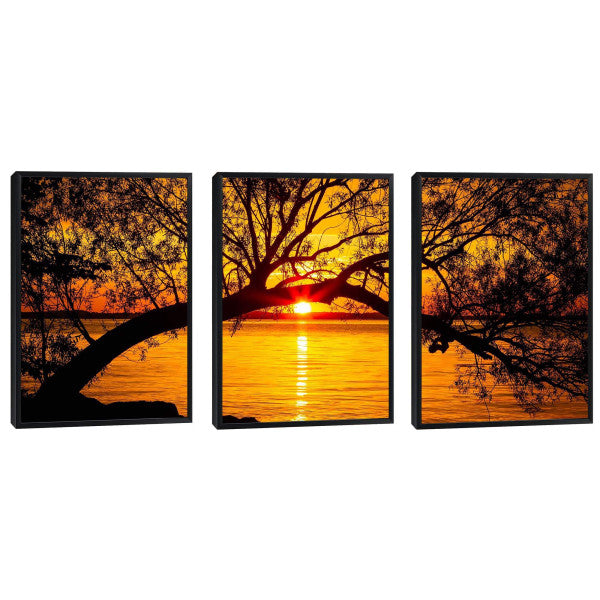 Quadro Decorativo Pôr do Sol Entre Árvores Majestosas