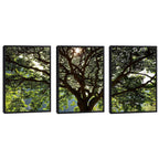 Quadro Decorativo Serenidade Verde: Respire Paz