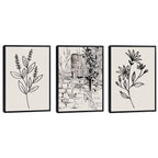 Quadro Decorativo Botânica Elegante - Toque Natural Único