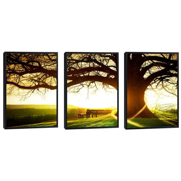 Quadro Decorativo: Pôr do Sol Rústico, Encanto Natural