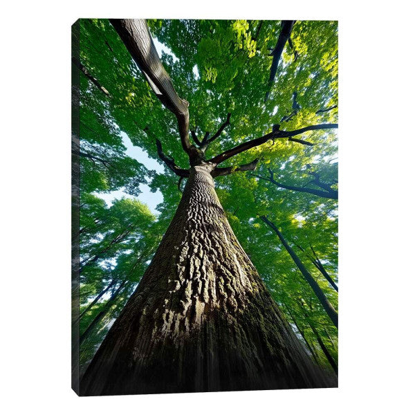 Quadro Decorativo Tronco da Vida com Força
