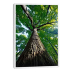Quadro Decorativo Tronco da Vida com Força