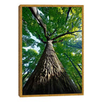 Quadro Decorativo Tronco da Vida com Força