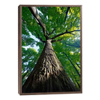 Quadro Decorativo Tronco da Vida com Força