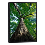 Quadro Decorativo Tronco da Vida com Força